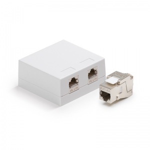 Keline falon k&iacute;v&uuml;li doboz Kateg&oacute;ria 6A, 2xRJ45/s csatlakoz&oacute;val